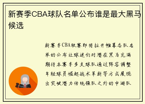 新赛季CBA球队名单公布谁是最大黑马候选