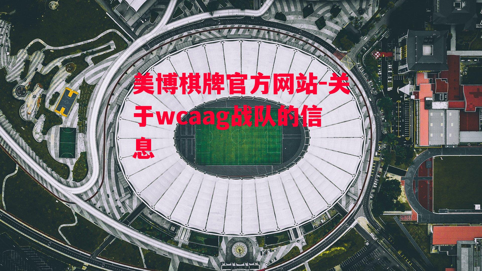 关于wcaag战队的信息